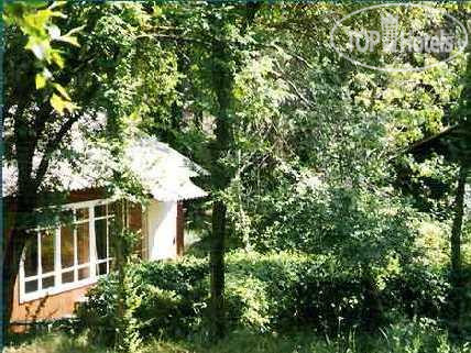 Photos Магарач (закрыт)