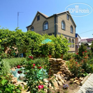 Photos Ласточка