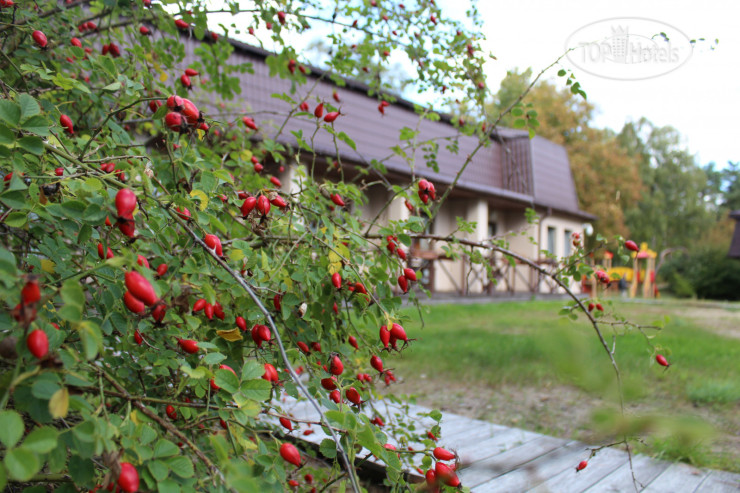 Hotelier's photos Fishermans House 3*