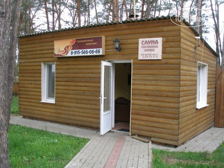 New photos from tourists Аист
