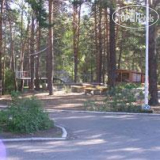 Photos Лесники