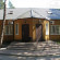 Фото Аист