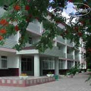 Photos Кедровый бор