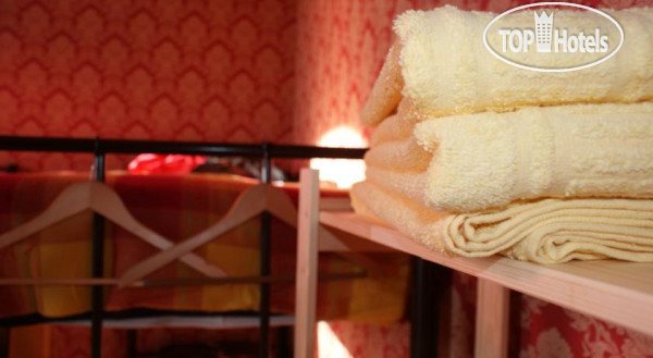 Hotelier's photos Comfy Hostel