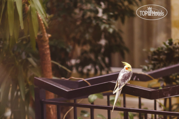 New photos from tourists Eurasia 4*