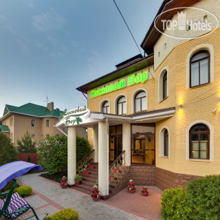 Photos Сосновый бор