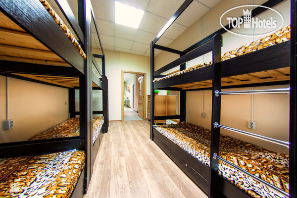 Hotelier's photos Like Hostel