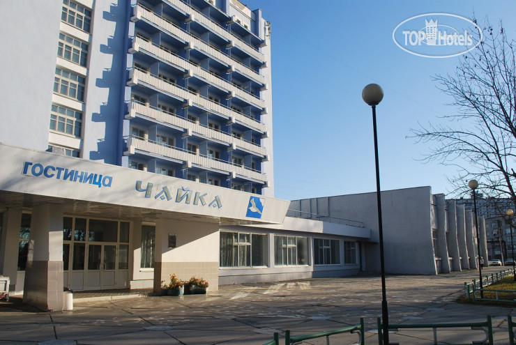 Photos Чайка