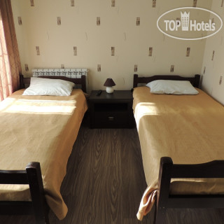 Photos Базилик