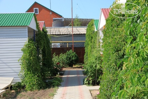 New photos from tourists Сокол 3*
