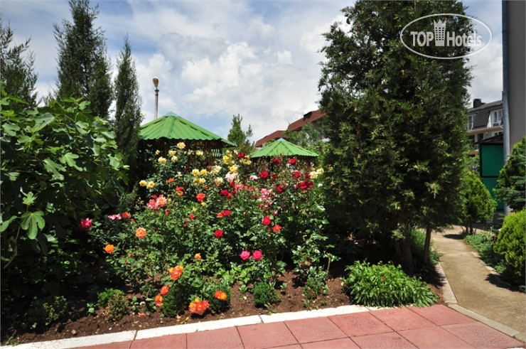 New photos from tourists Уют