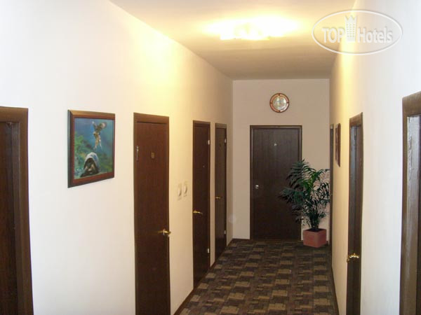 Photos Оазис