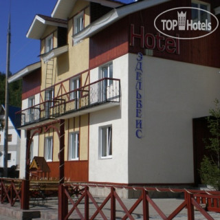 Фото Эдельвейс