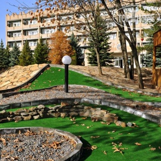 Photos Синяя Птица (Blue bird)