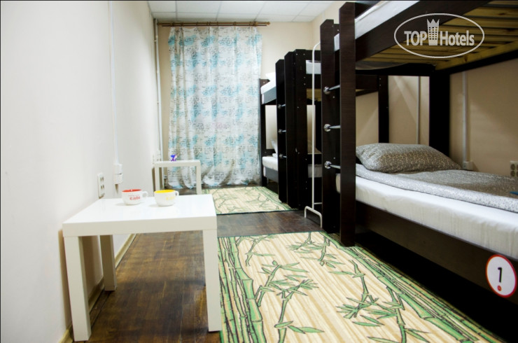 New photos from tourists Like Hostel