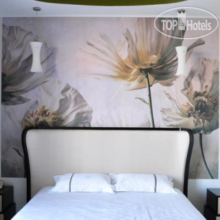 Photos Авиньон