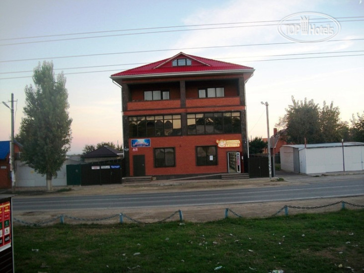 Photos Магнолия