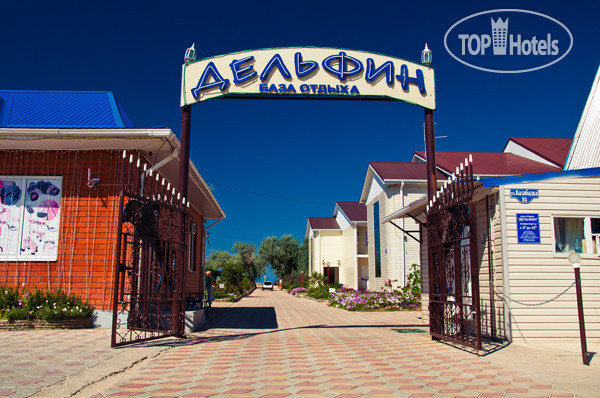 Photos Дельфин