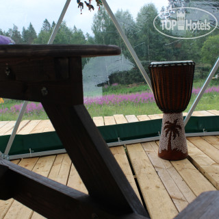 Photos Папоротник