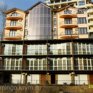 Photos Фламинго