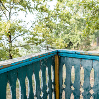 Фото Сосновый бор на Усе