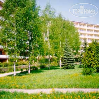 Фото Березовая роща