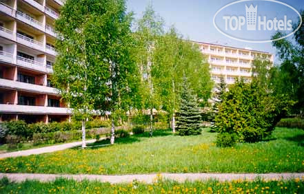 Фото Березовая роща