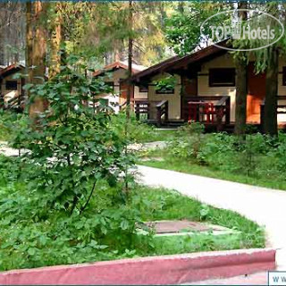 Photos Солонцово