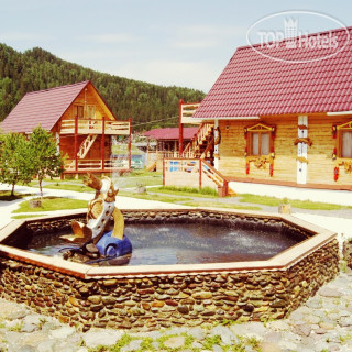 Фото Золотая Рыбка