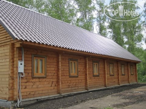 Фото Березка