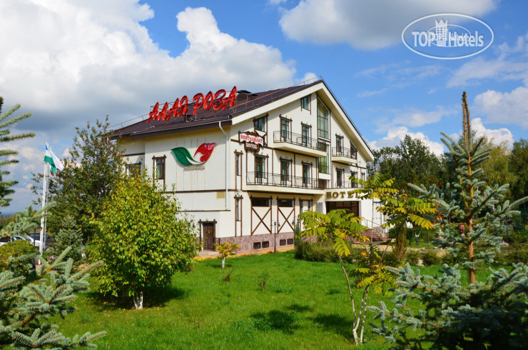 Photos Алая Роза