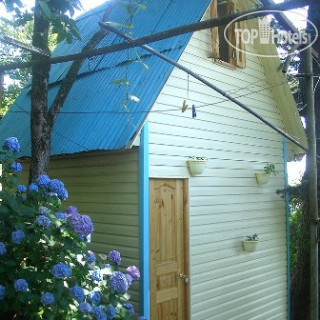 Photos Сосновый Бор