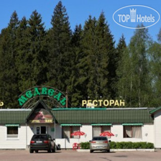 Photos Медведь