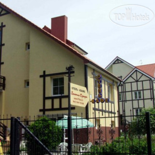 Фото Золотая Орхидея