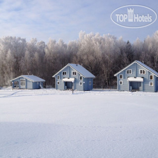 Фото Мелодия леса