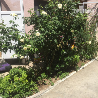 Фото У Маяка