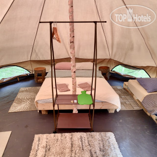 Photos Глэмпинг Звездный лес