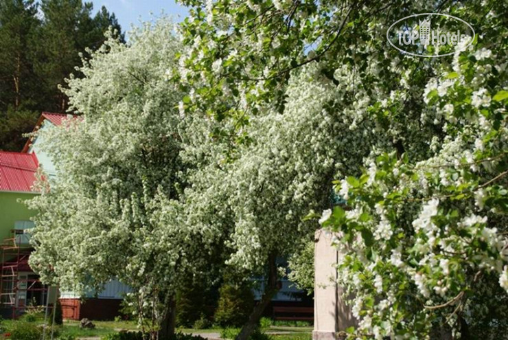 New photos from tourists Карагай