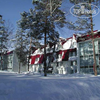 Фото Каменный цветок