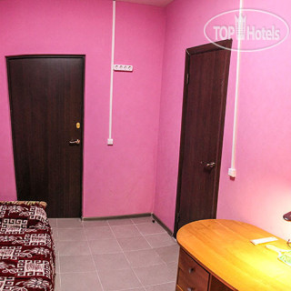 Photos Тюльпан