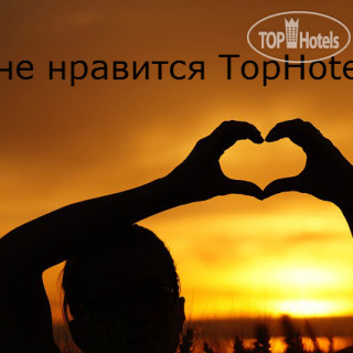 Photos Красный Подсолнух  (Red Sunflower)