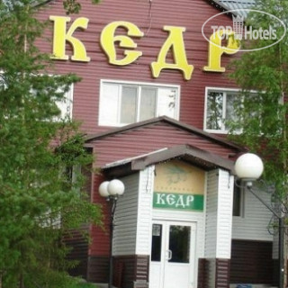 Фото Кедр