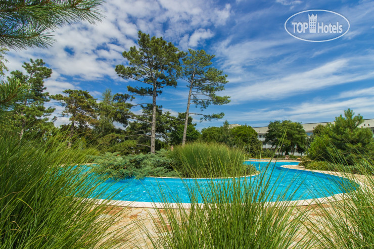 Hotelier's photos Family Resort Chernomorets 4*