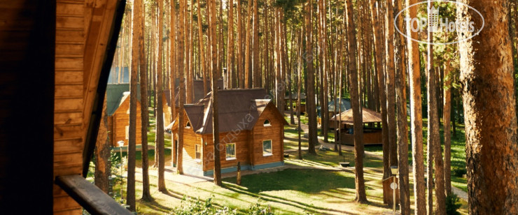 Фотографии отеля  Зеленый Бор 