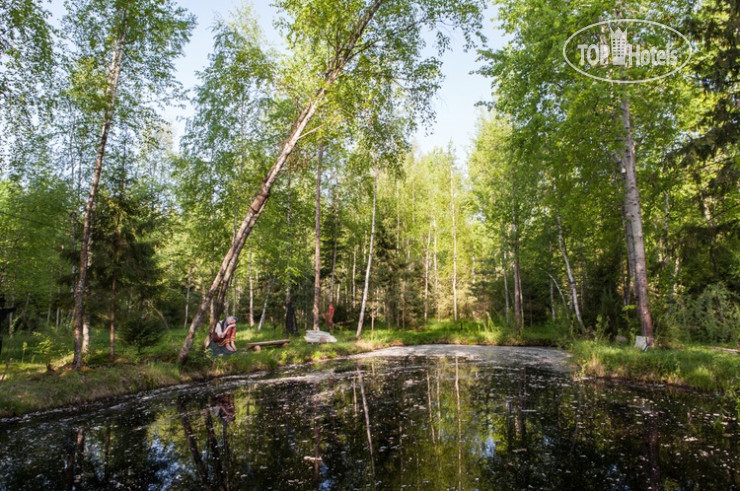 New photos from tourists Арт-Усадьба Веретьево