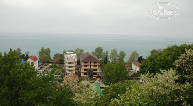 Hotelier's photos Novikoff Hotel