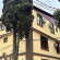Photos Viva Камелия