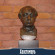 Photos Byloy Peterburg - Holstomer