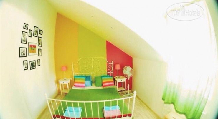 New photos from tourists Baby Lemonade Hostel 2*