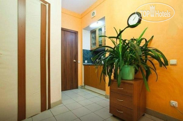 New photos from tourists Zebra Hostel